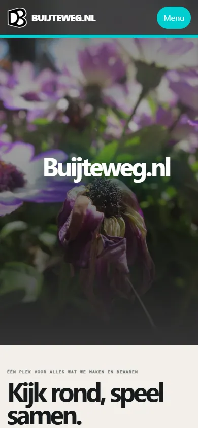 Beeld uit Buijteweg.nl, beeld 1