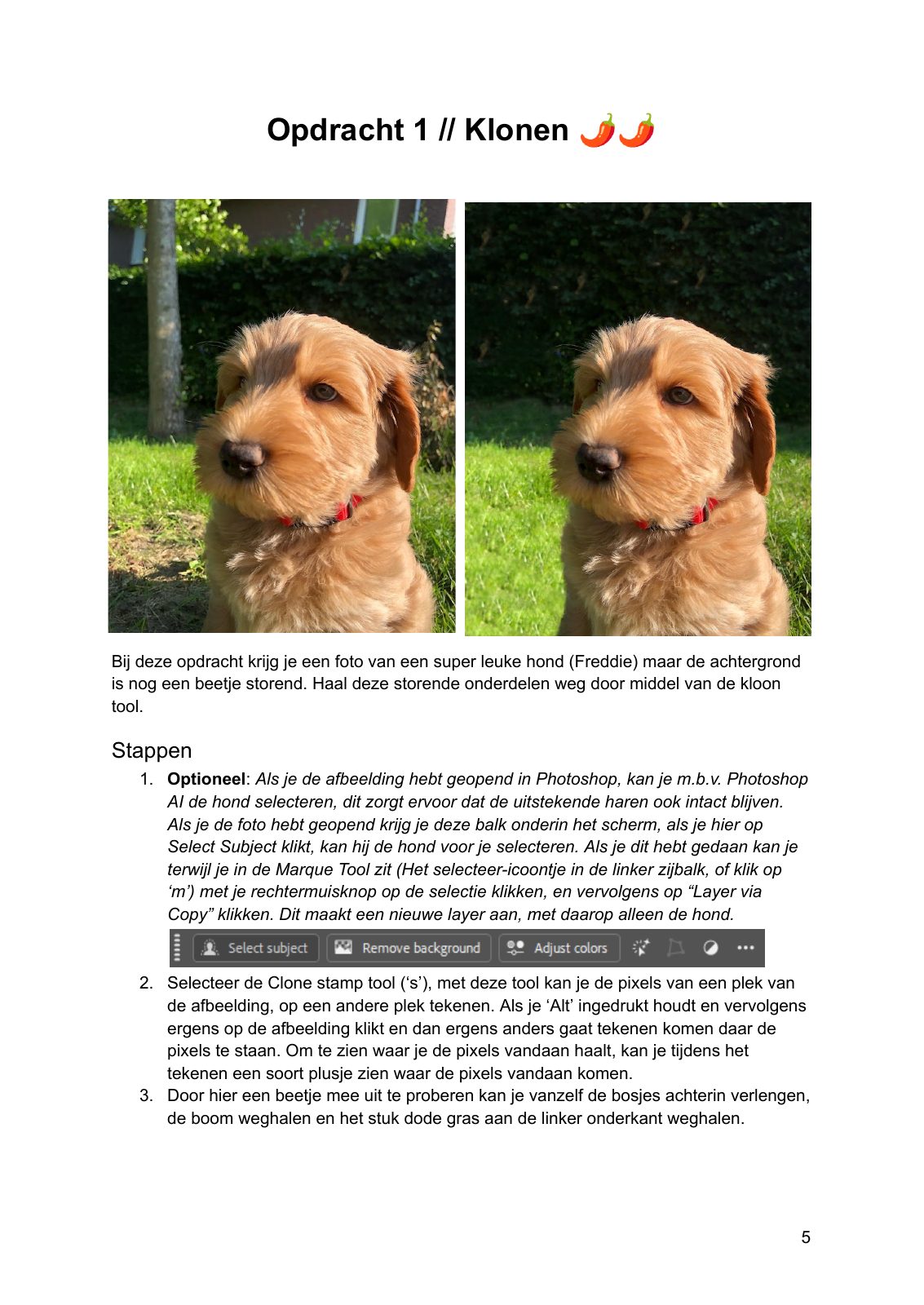 Photoshop workshop · Handout, pagina 5