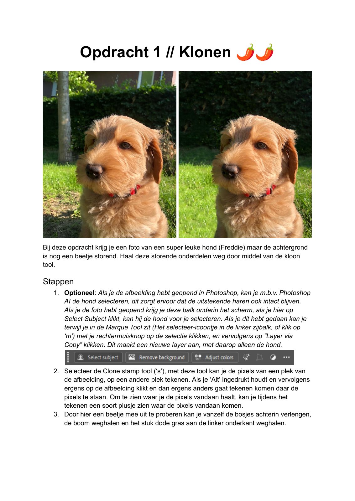 Photoshop opdracht 01, pagina 1