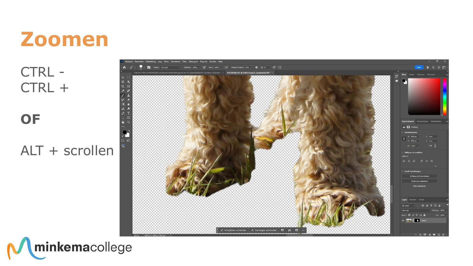Photoshop workshop · Presentatie, pagina 5