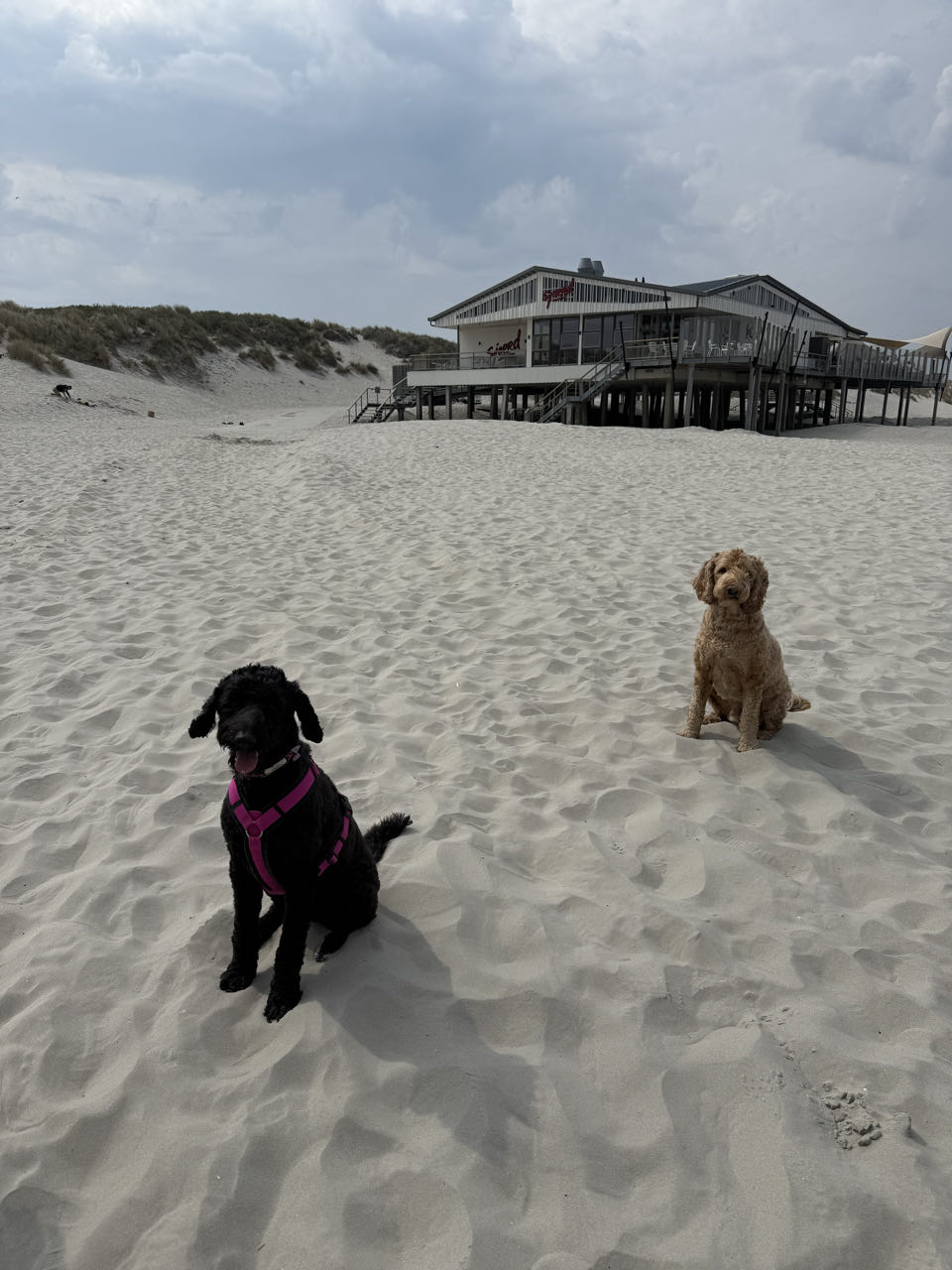 Beeld 6 bij Holwerd