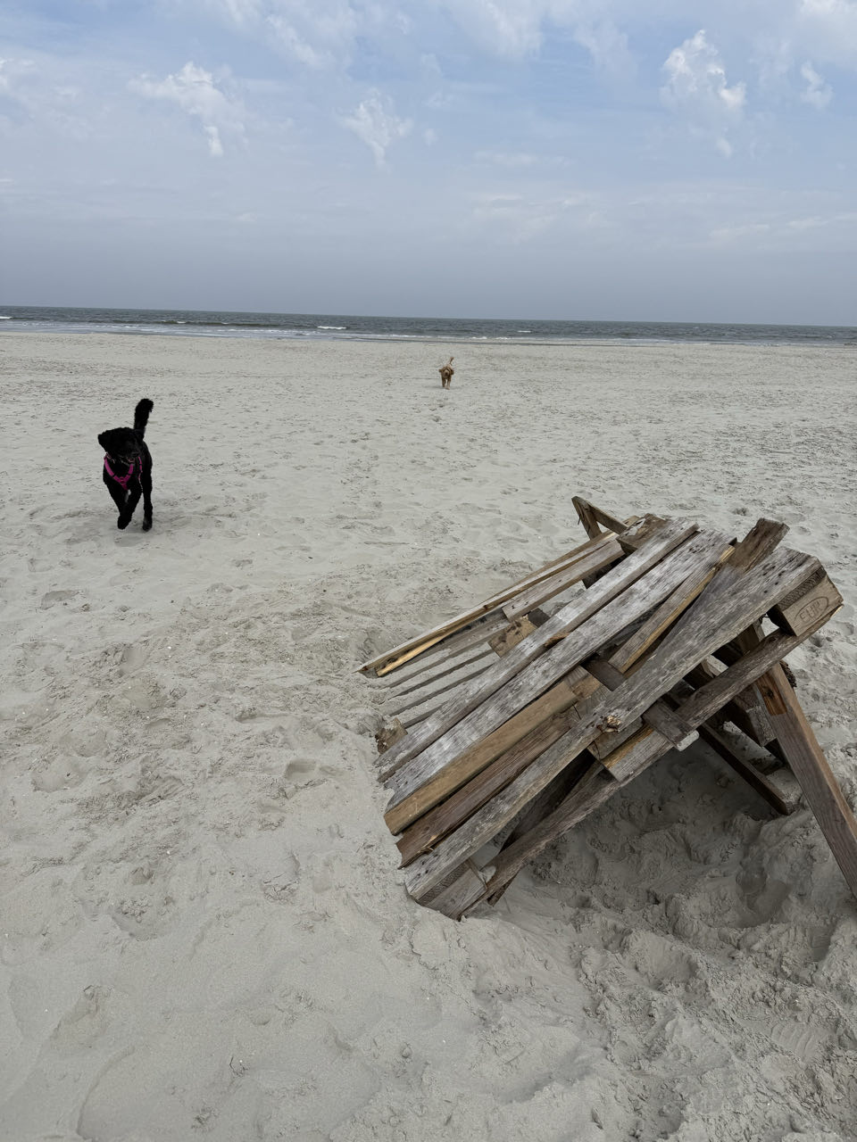 Beeld 7 bij Holwerd
