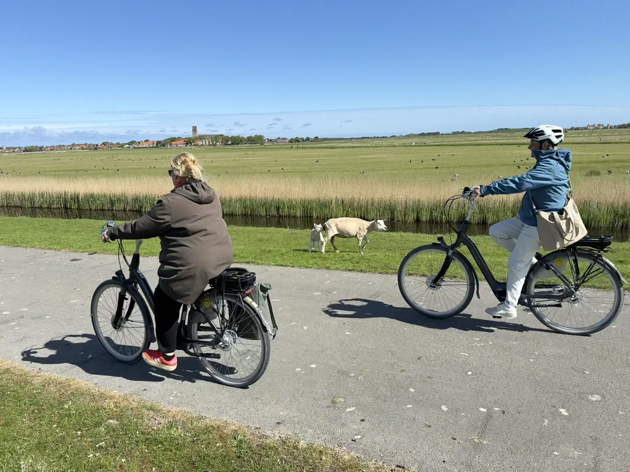 Beeld 3 bij Hollum