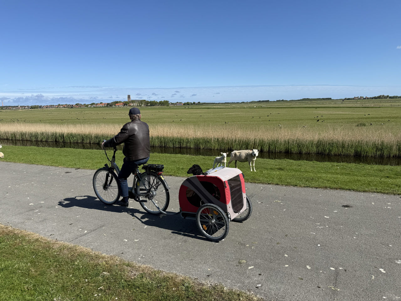 Beeld 4 bij Hollum