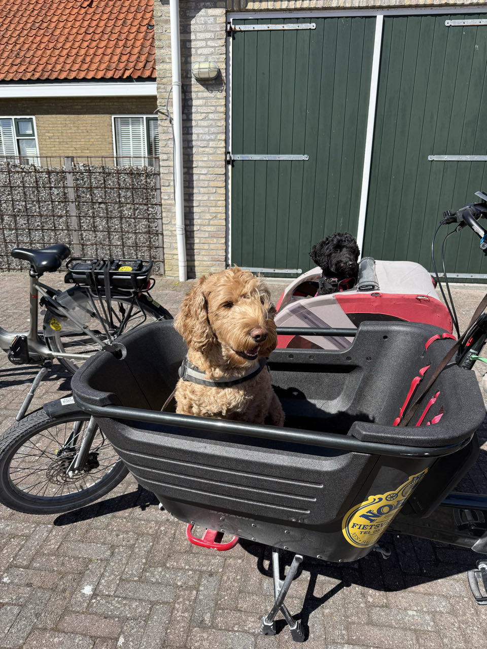 Beeld 6 bij Hollum