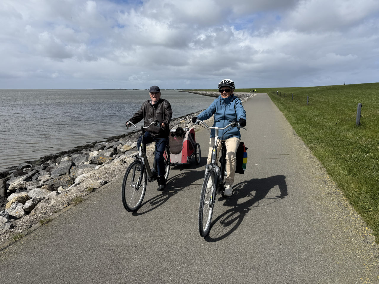 Beeld 4 bij Buren