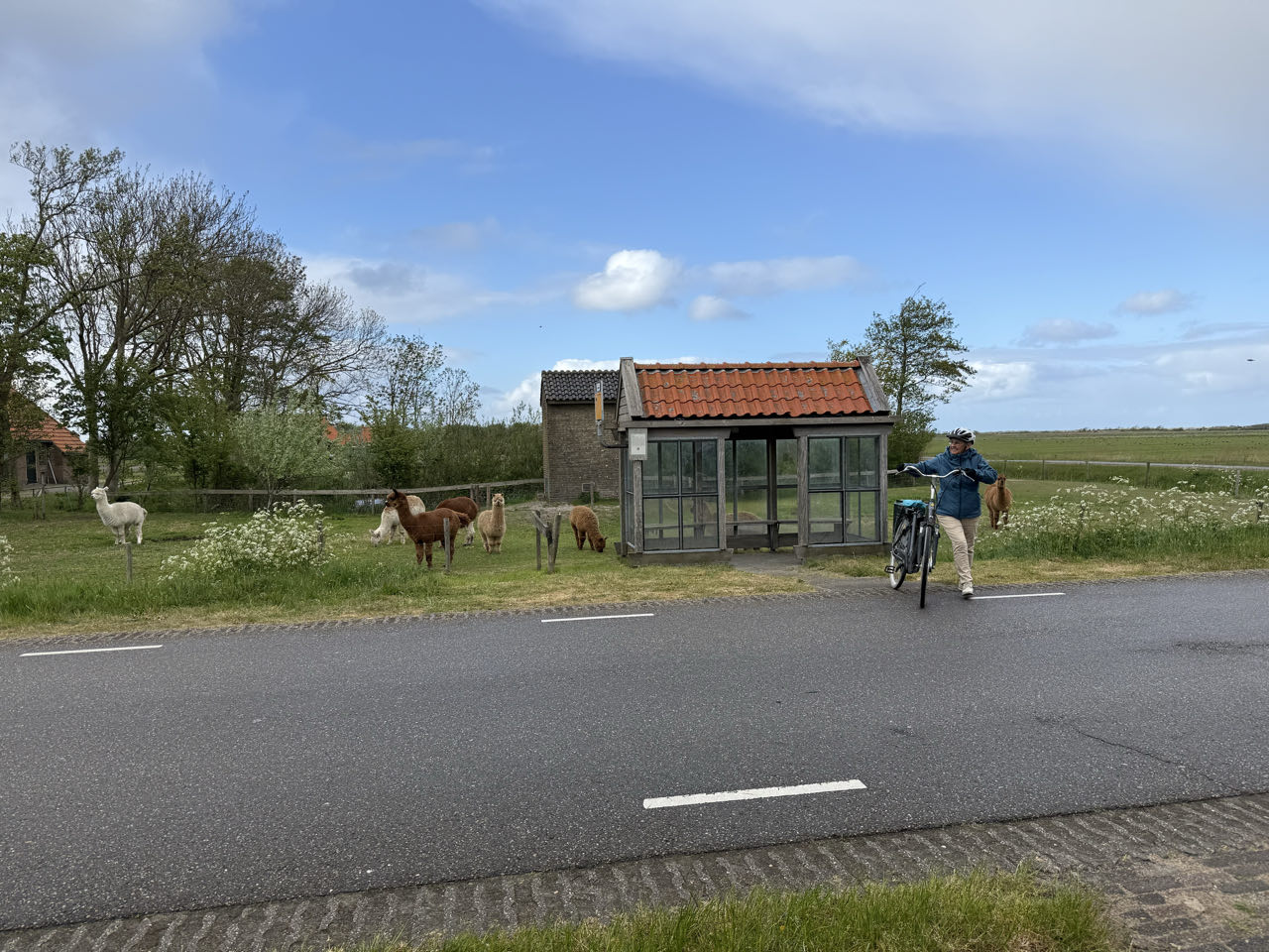 Beeld 15 bij Buren