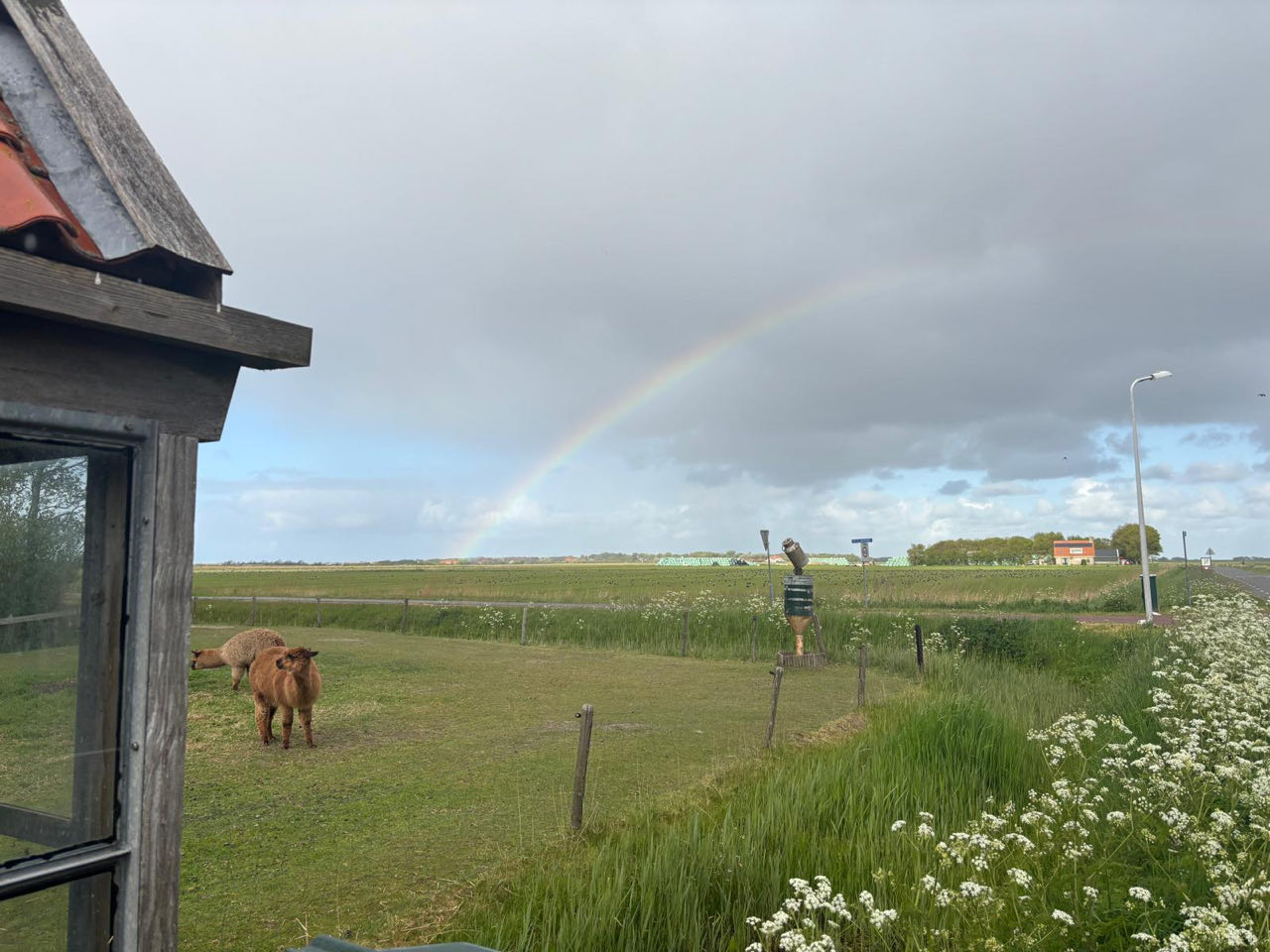 Beeld 17 bij Buren