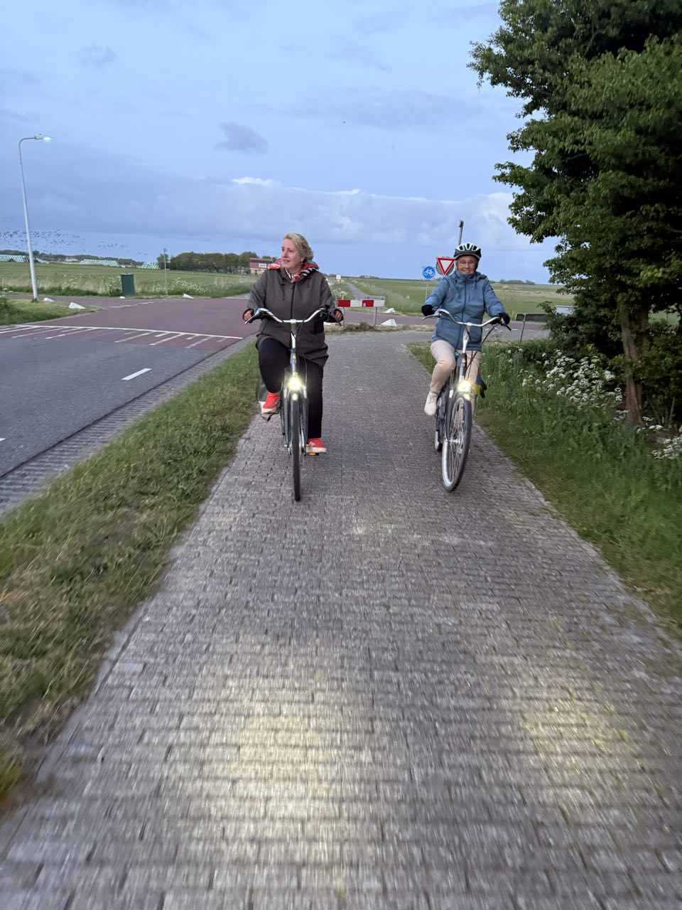 Beeld 24 bij Buren