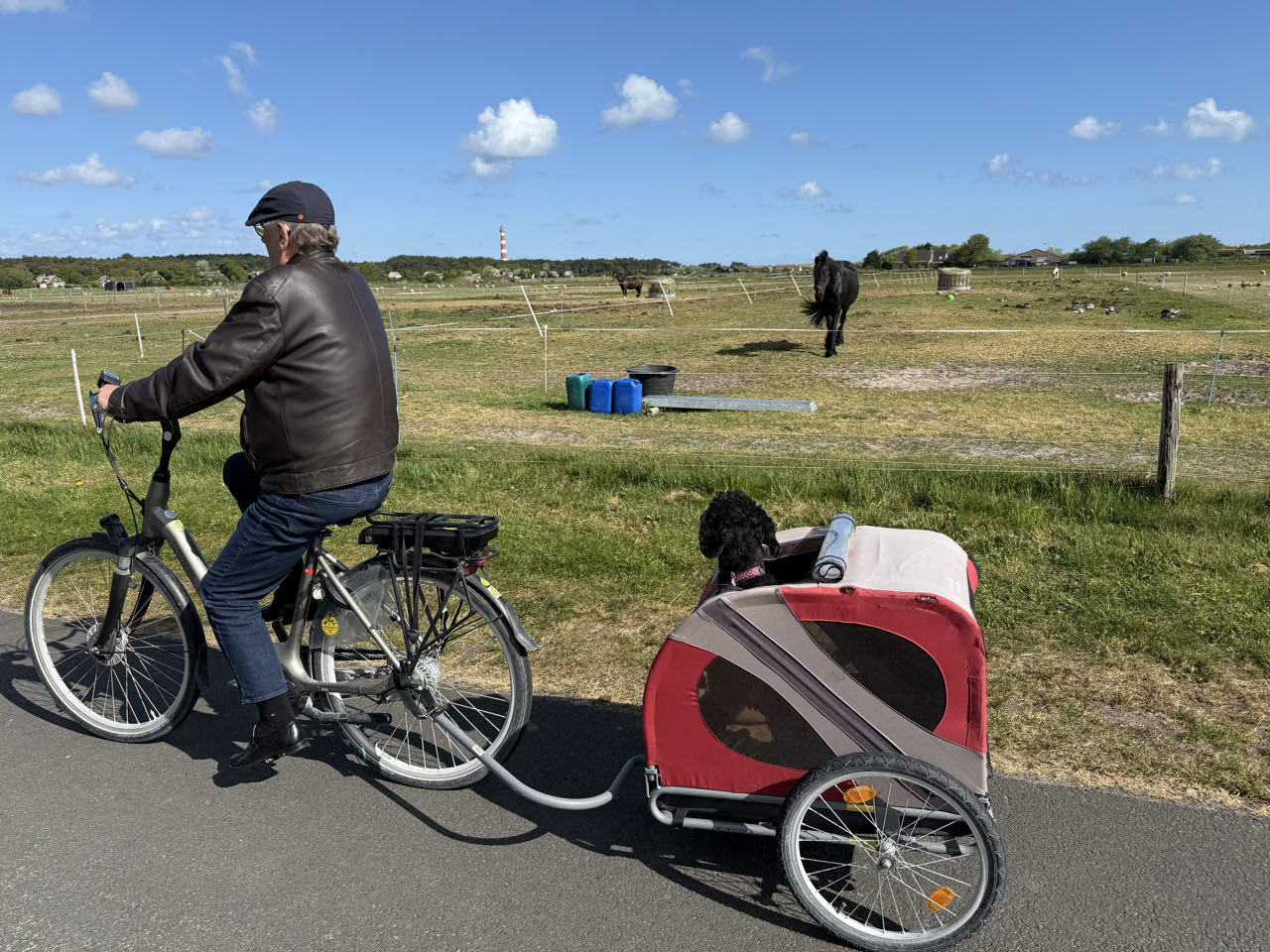 Beeld 3 bij Nes