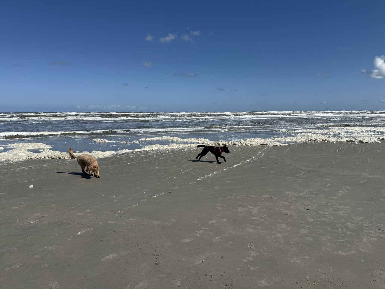 Beeld 6 bij Nes