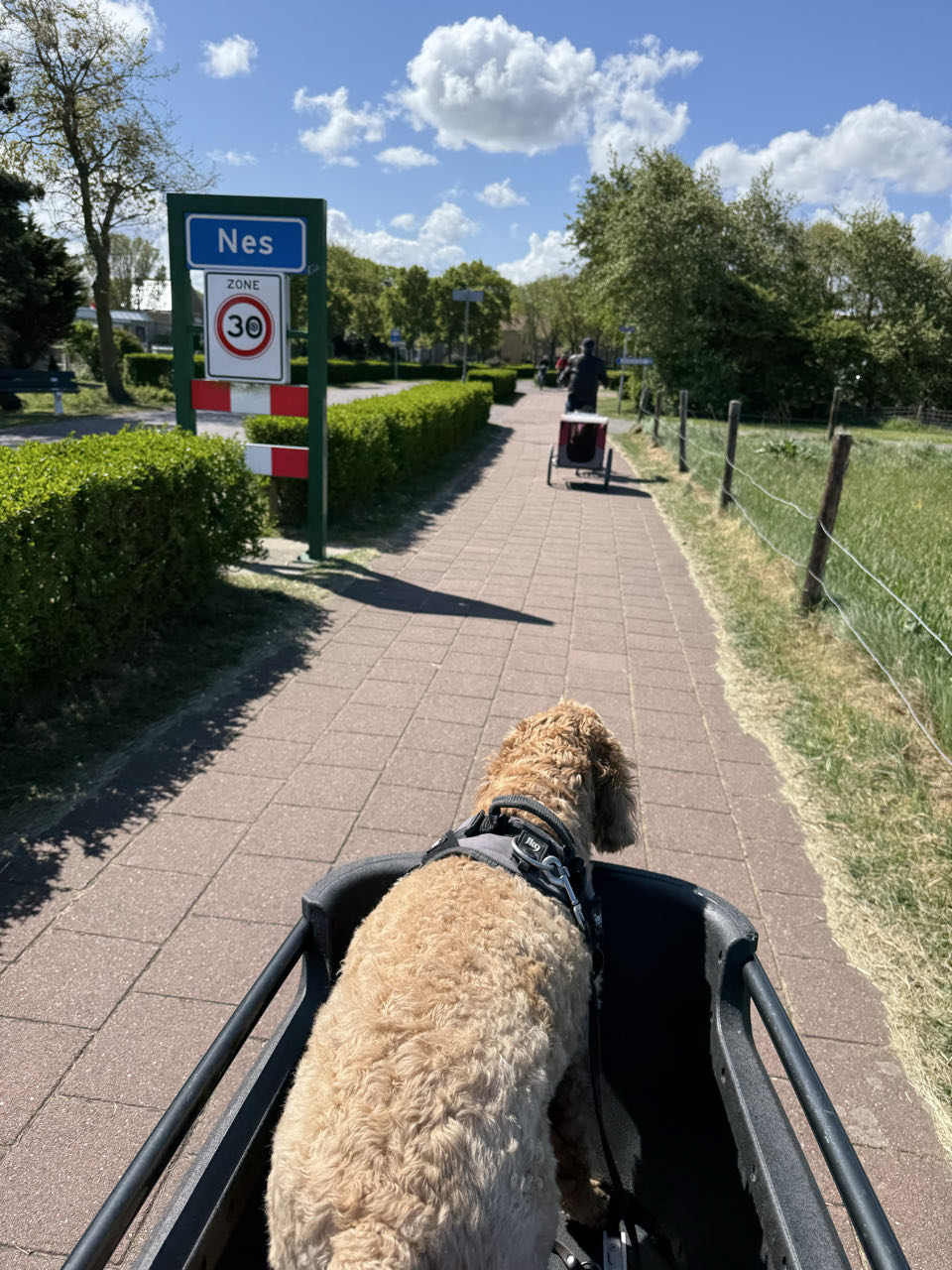 Beeld 8 bij Nes