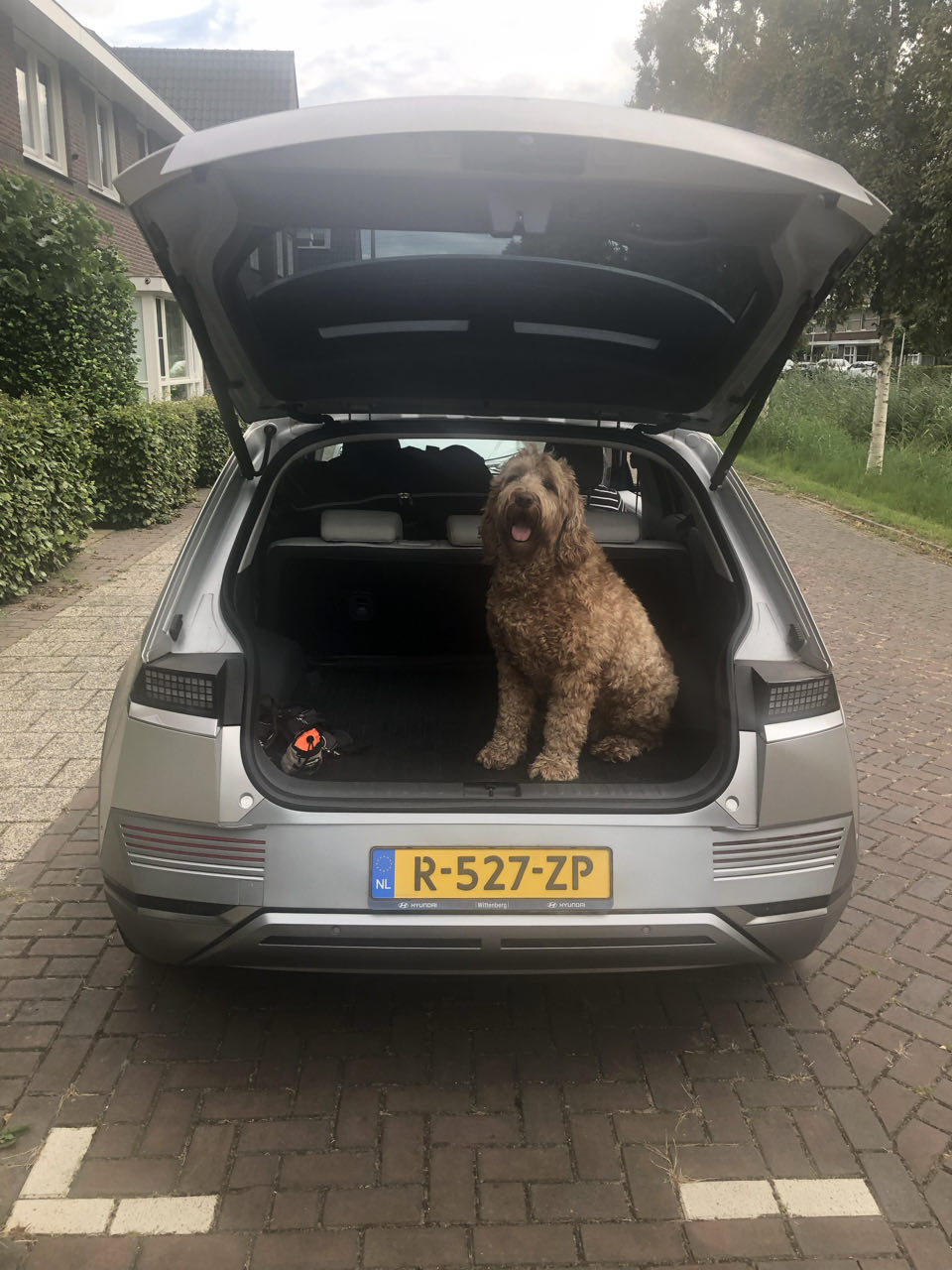Beeld 1 bij Utrecht