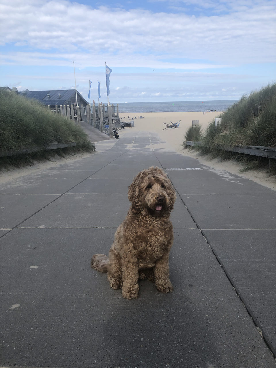 Beeld 1 bij Vlieland dag 1