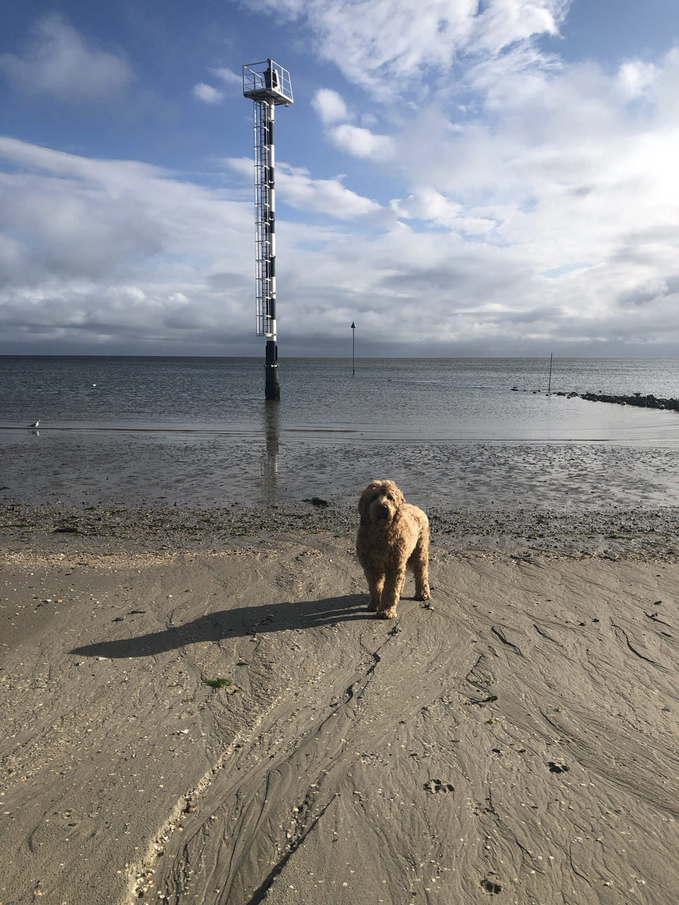 Beeld 10 bij Vlieland dag 1