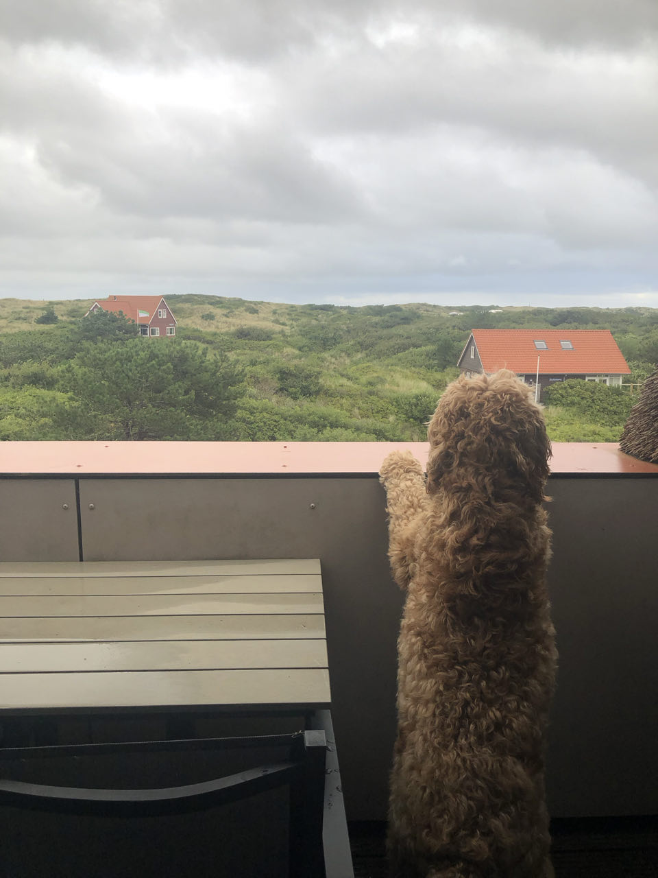 Beeld 12 bij Vlieland dag 1