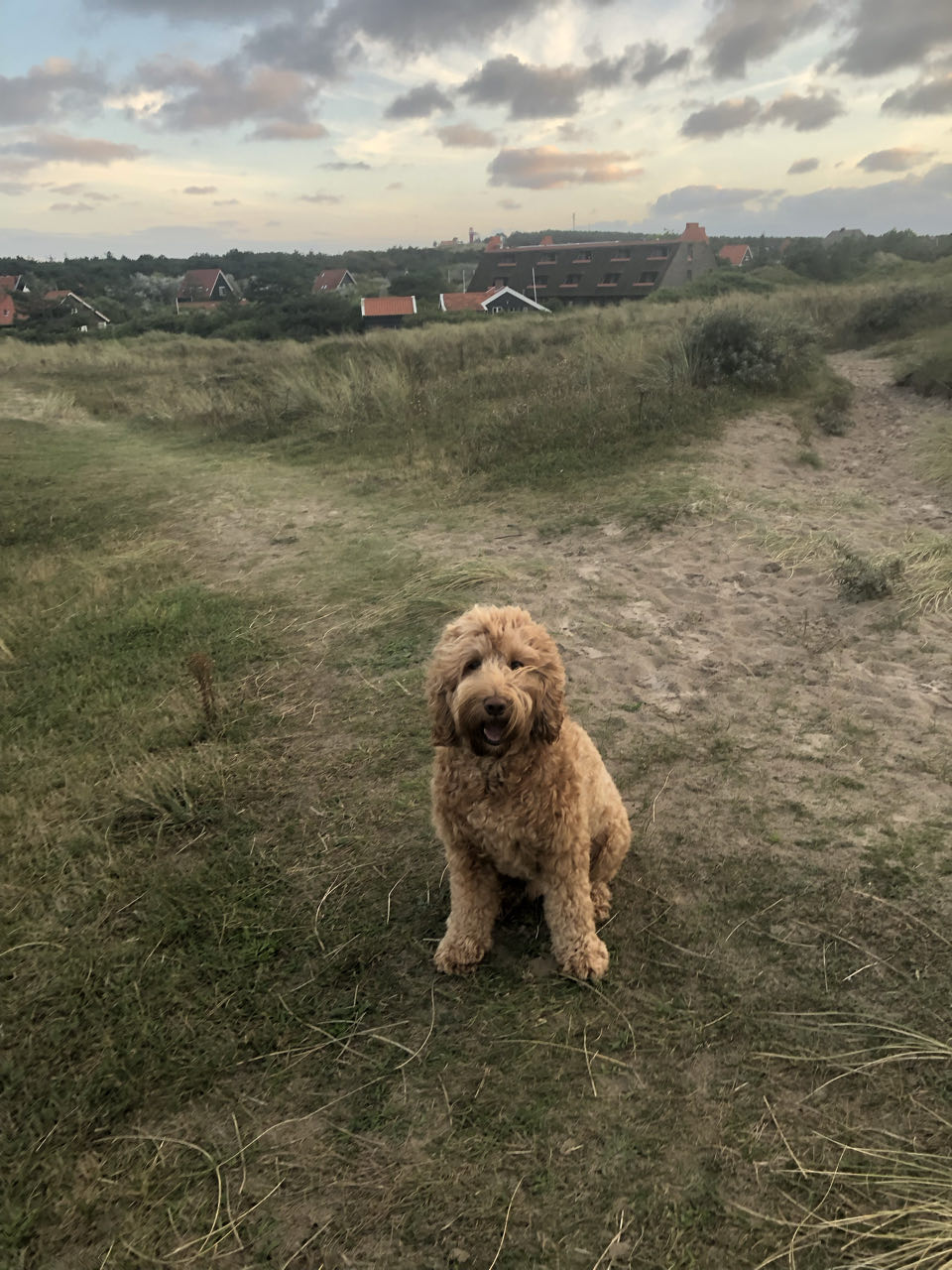 Beeld 13 bij Vlieland dag 1
