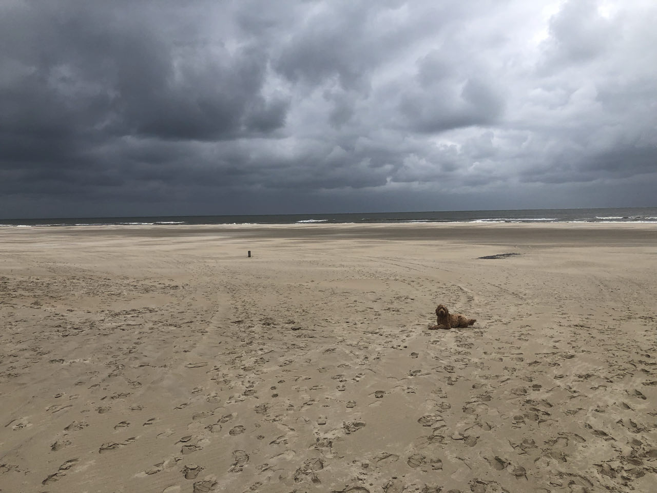 Beeld 4 bij Vlieland dag 2