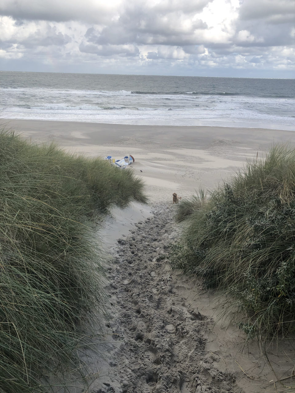 Beeld 2 bij Vlieland dag 3