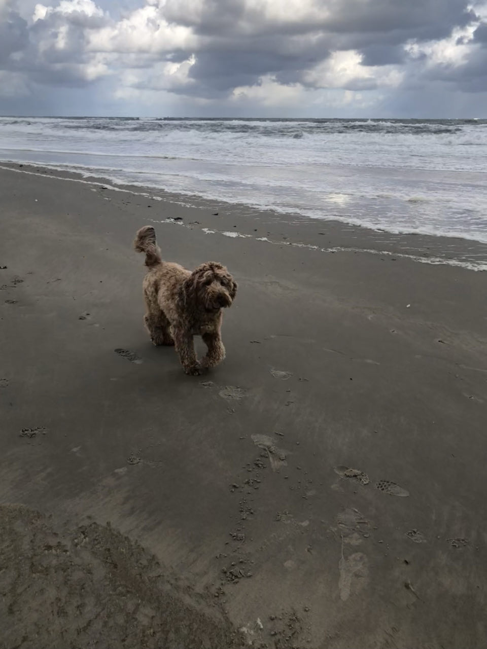 Beeld 4 bij Vlieland dag 3