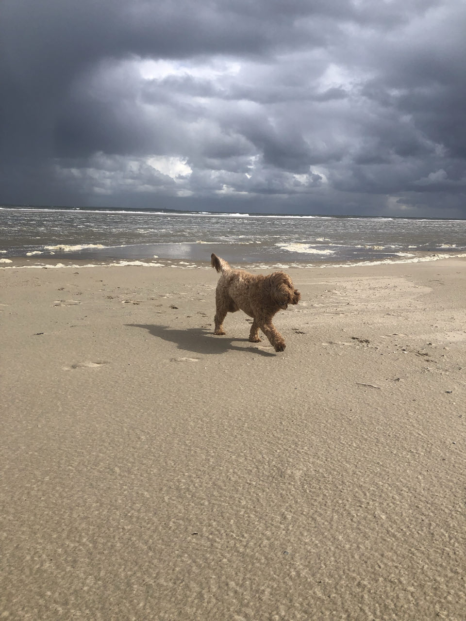 Beeld 6 bij Vlieland dag 3