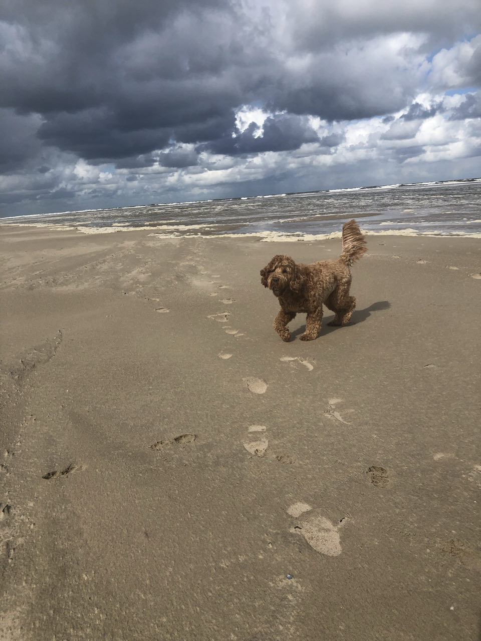 Beeld 7 bij Vlieland dag 3
