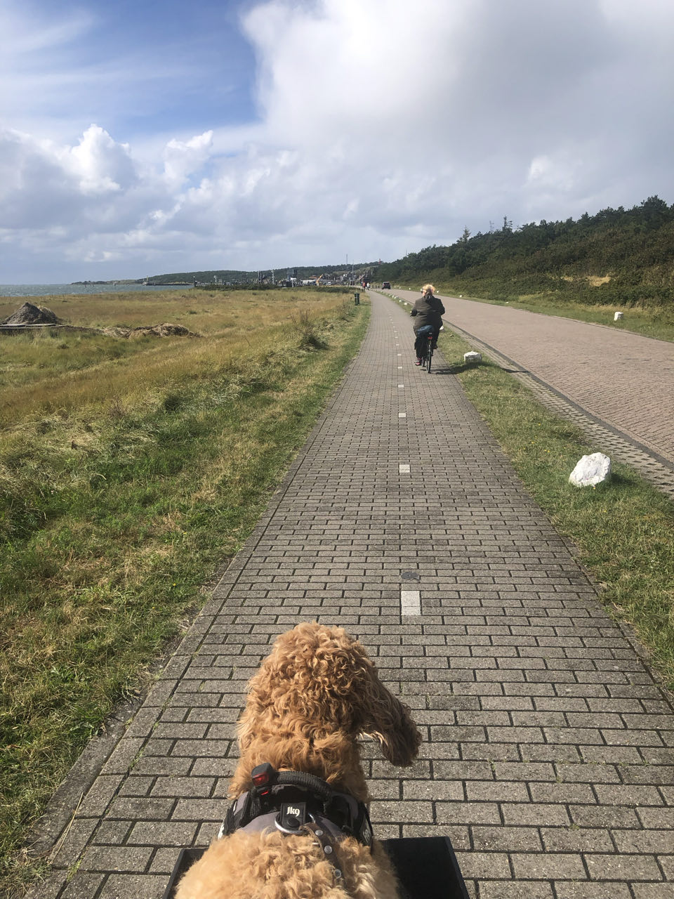 Beeld 10 bij Vlieland dag 3
