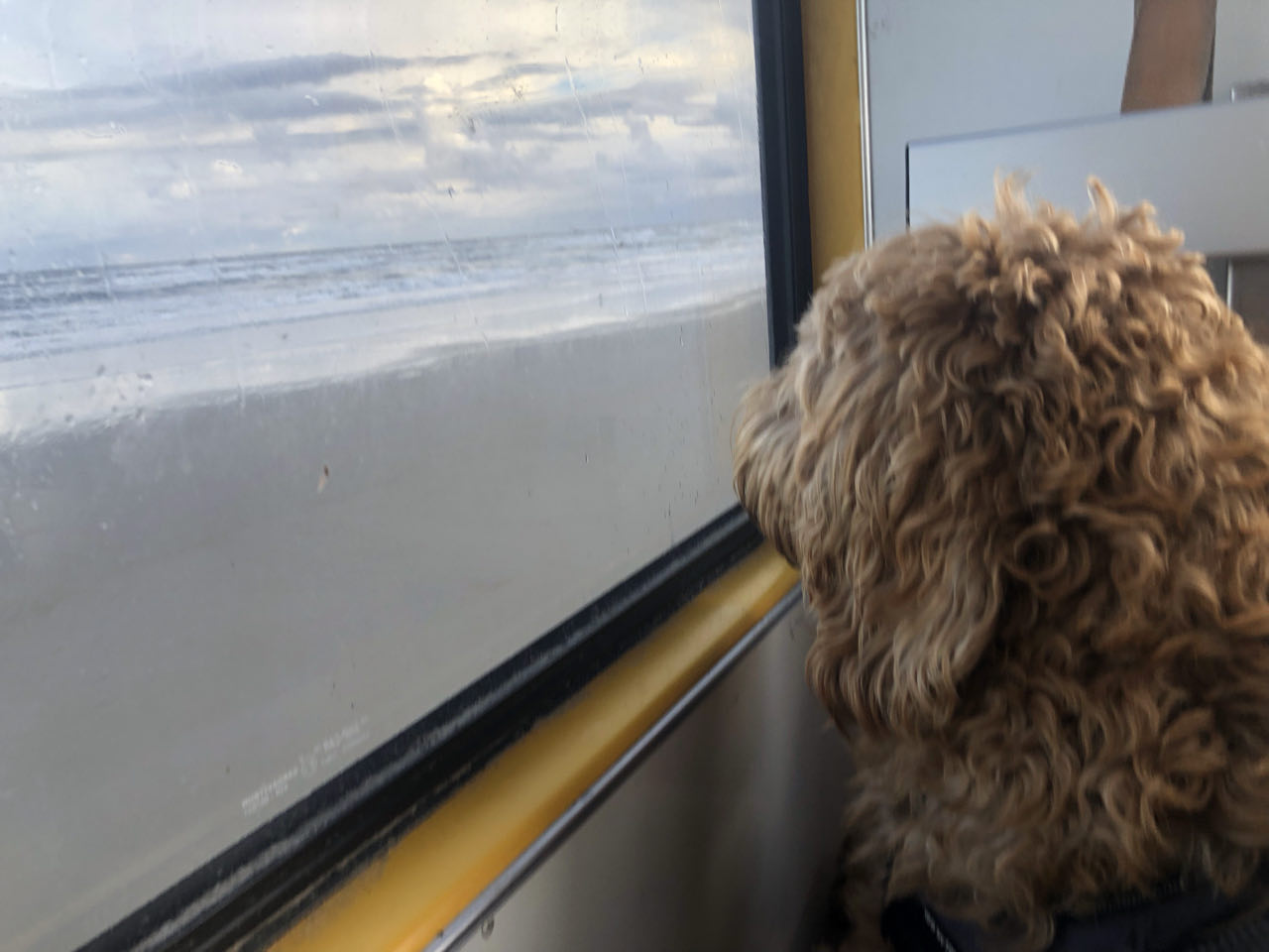 Beeld 3 bij Dag 4 van Vlieland naar Texel hophop