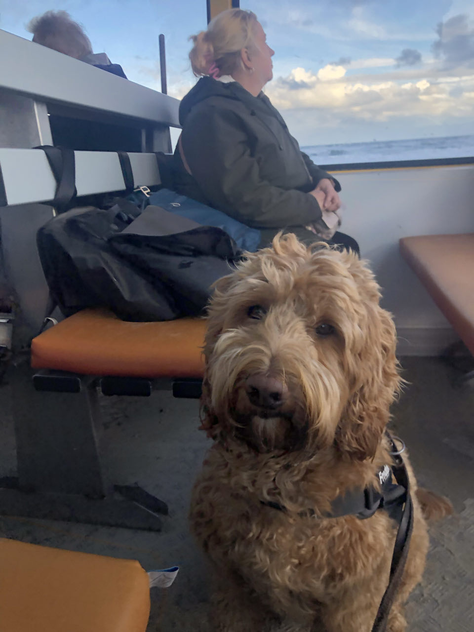 Beeld 5 bij Dag 4 van Vlieland naar Texel hophop