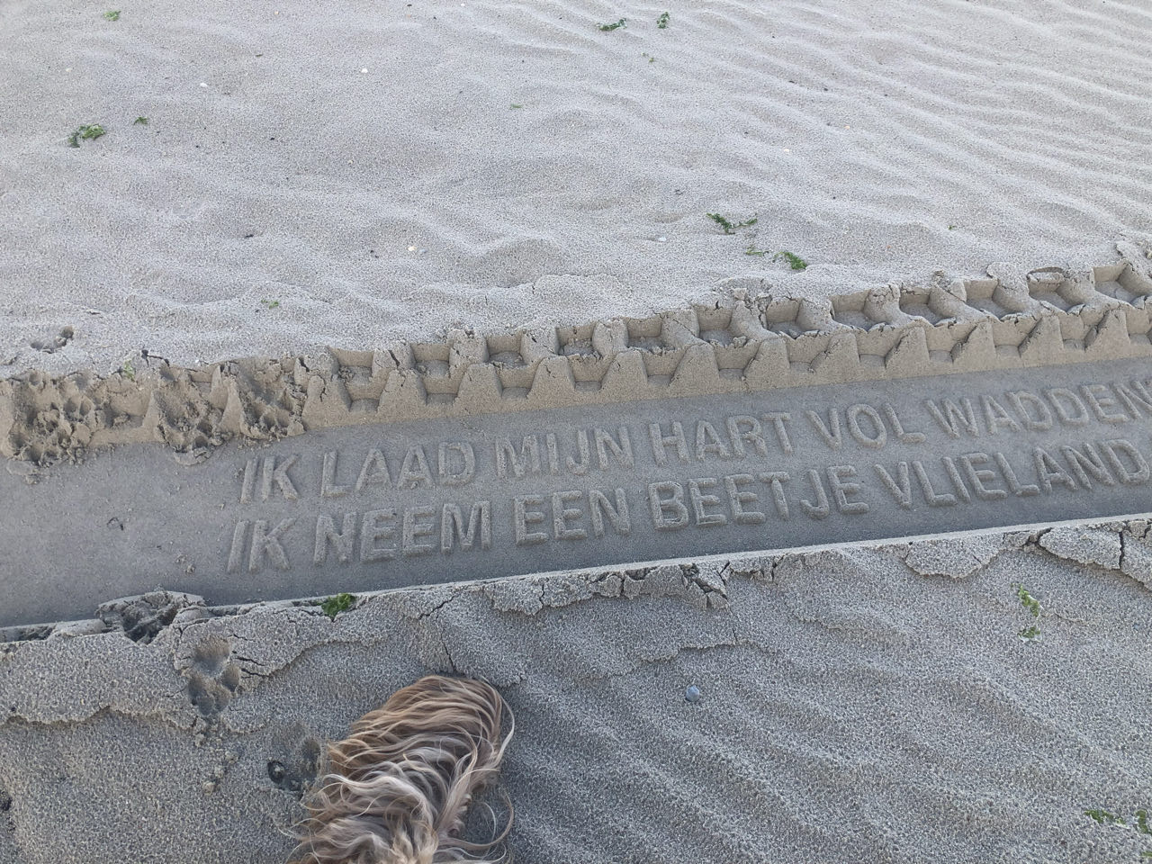 Beeld 7 bij Dag 4 van Vlieland naar Texel hophop