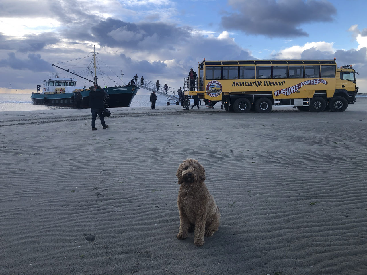 Beeld 8 bij Dag 4 van Vlieland naar Texel hophop