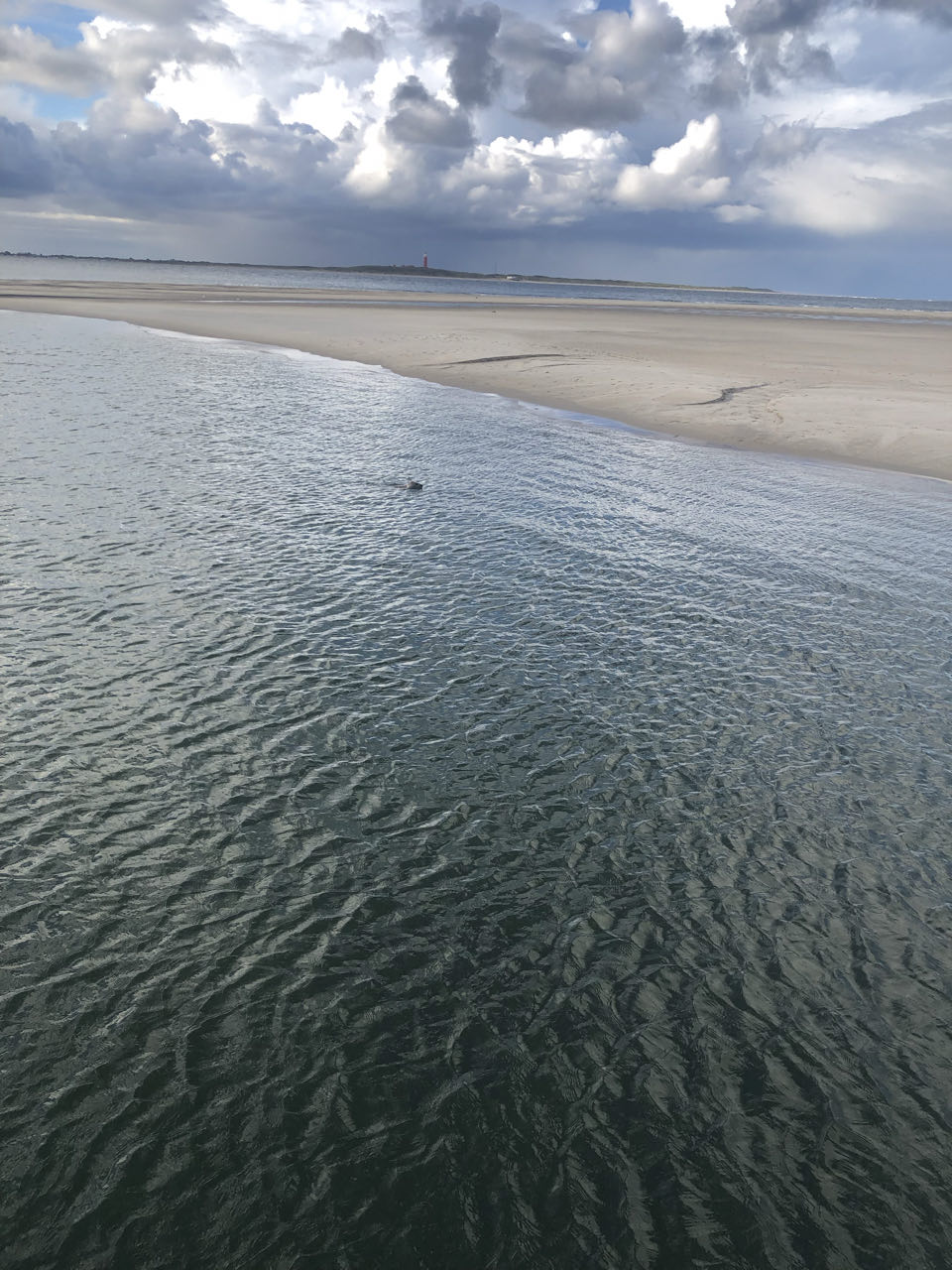 Beeld 10 bij Dag 4 van Vlieland naar Texel hophop