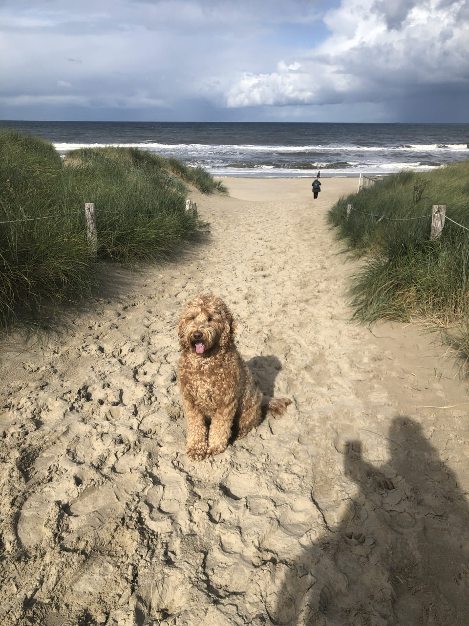 Beeld 18 bij Dag 4 van Vlieland naar Texel hophop