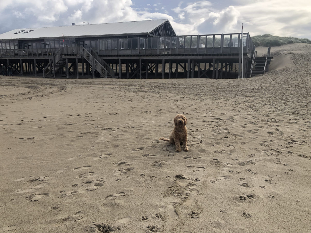 Beeld 19 bij Dag 4 van Vlieland naar Texel hophop