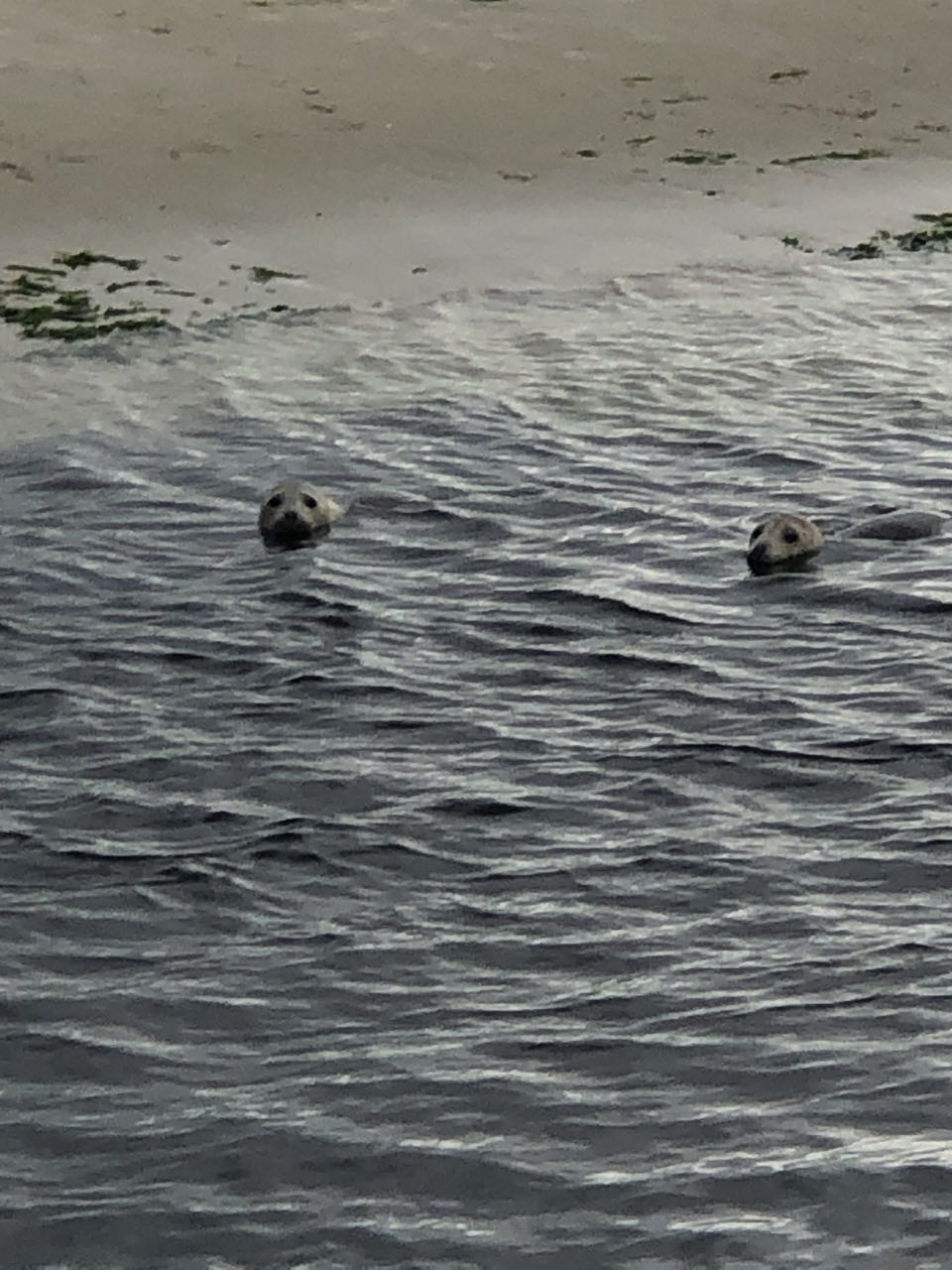 Beeld 25 bij Dag 4 van Vlieland naar Texel hophop