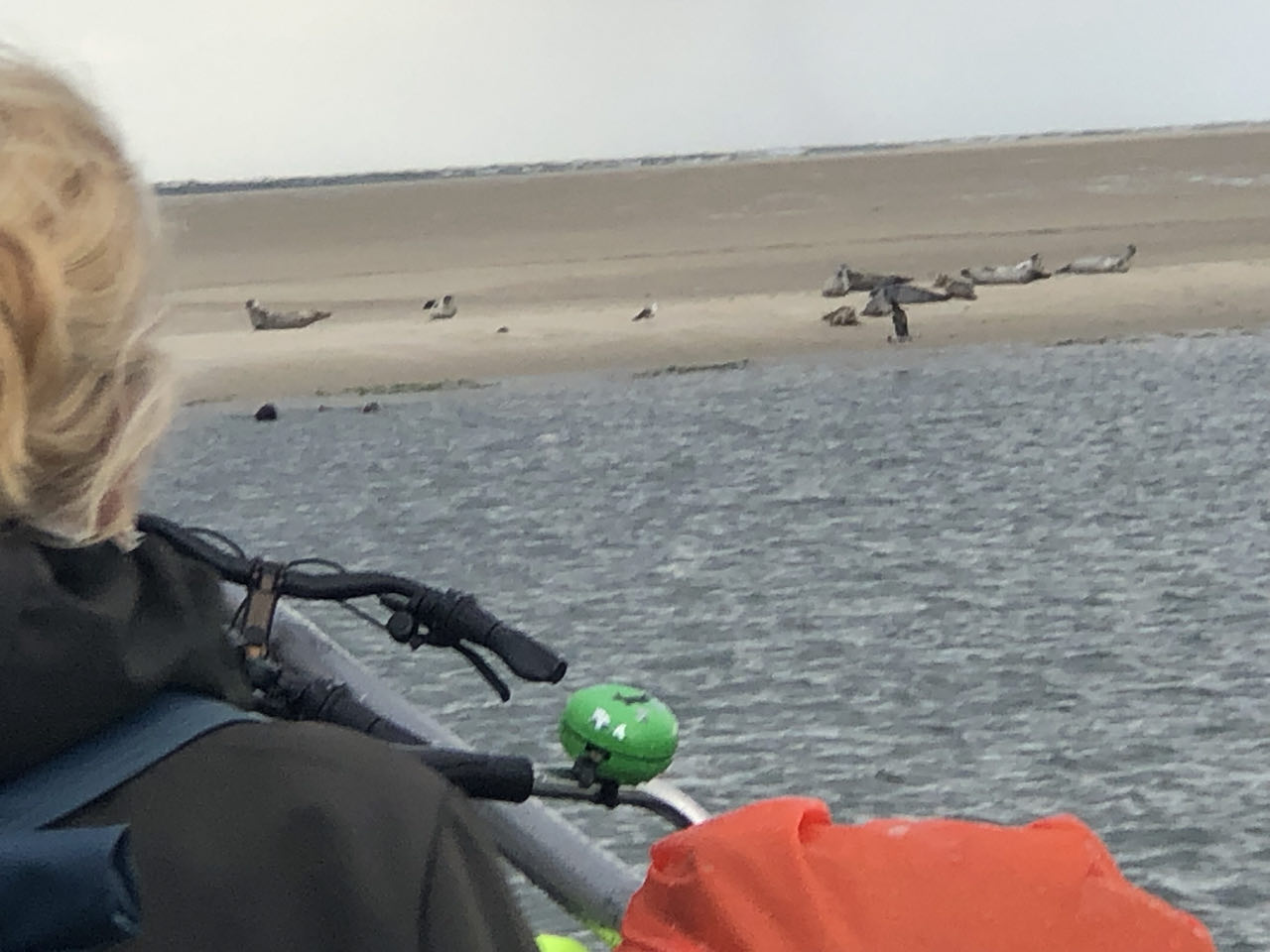 Beeld 26 bij Dag 4 van Vlieland naar Texel hophop
