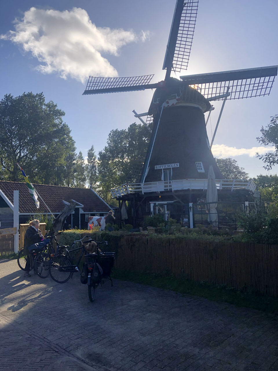 Beeld 5 bij Dag 5 van Vlieland naar Terschelling hophop