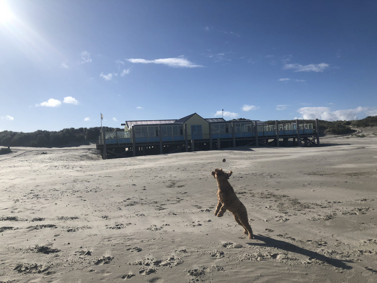 Beeld 9 bij Dag 5 van Vlieland naar Terschelling hophop