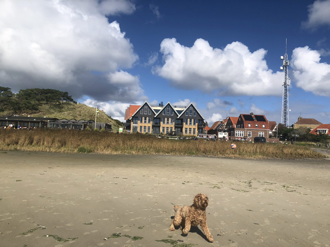 Beeld 16 bij Dag 5 van Vlieland naar Terschelling hophop