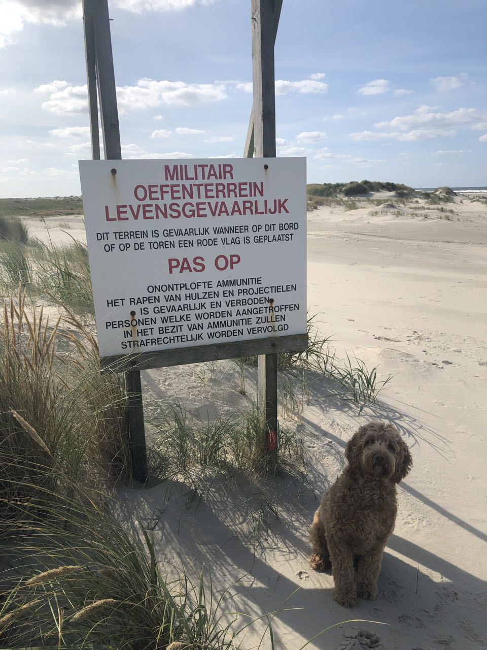Beeld 7 bij Hop hop weer terug op Vlieland