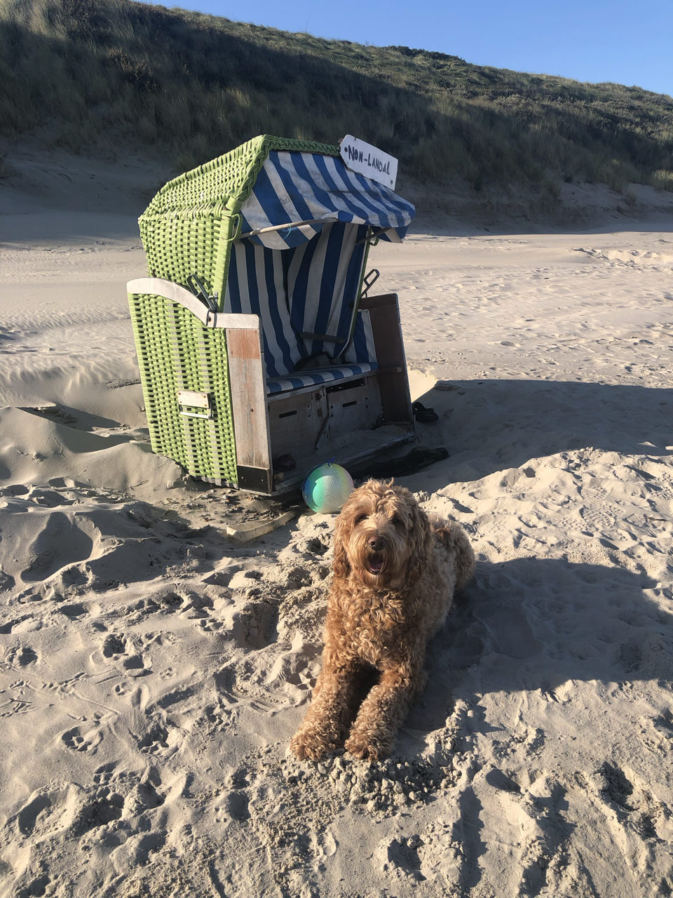 Beeld 1 bij Dag 7 hop hop het hele eiland rond
