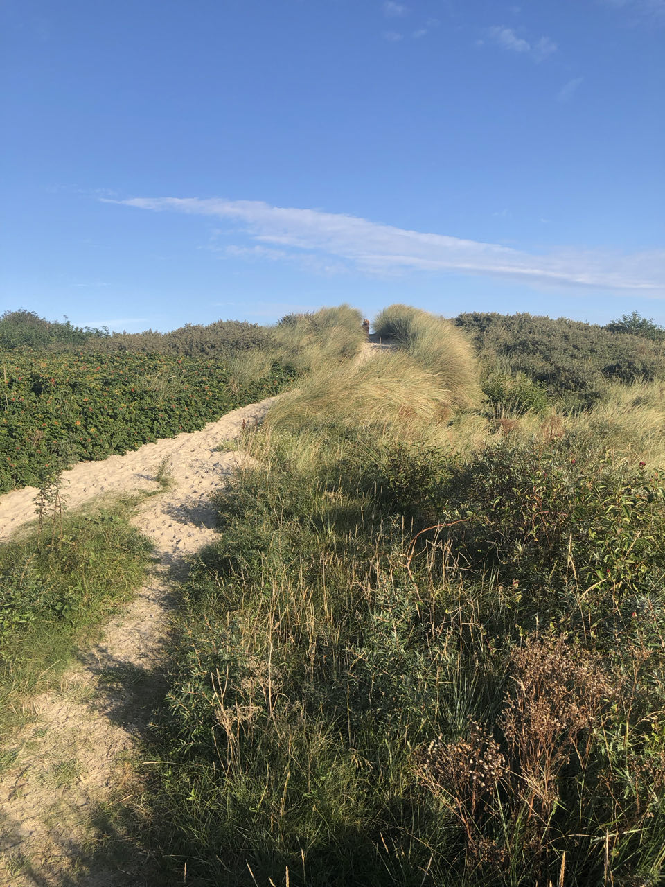 Beeld 2 bij Dag 7 hop hop het hele eiland rond