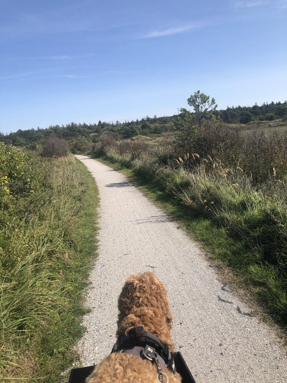 Beeld 5 bij Dag 7 hop hop het hele eiland rond