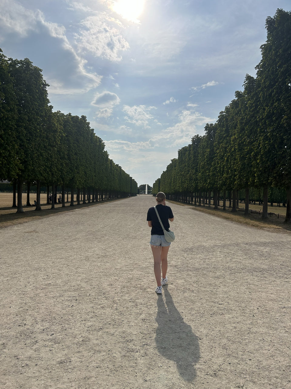 Saint-Germain-en-Laye · foto 6