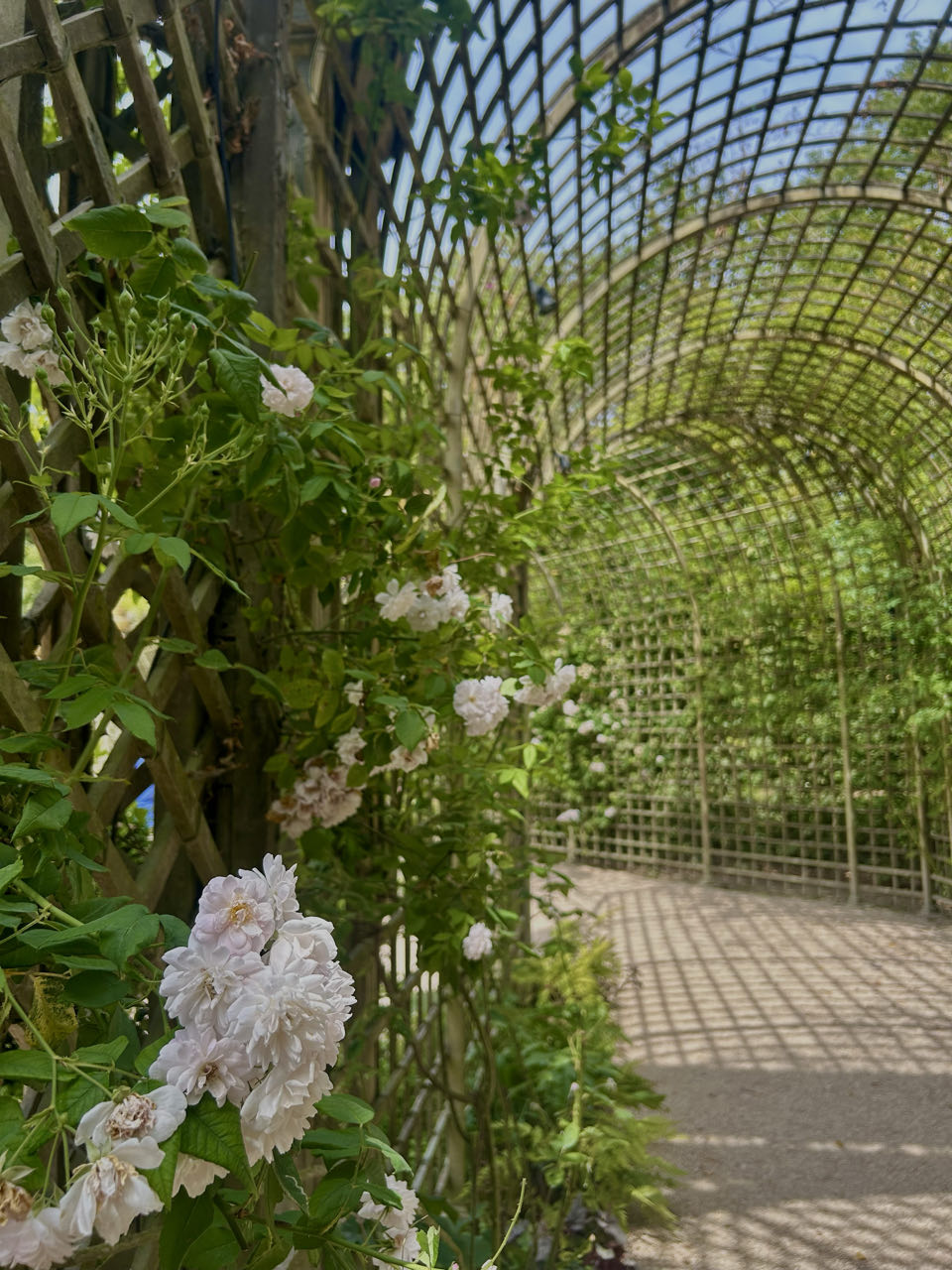 Versailles · foto 10