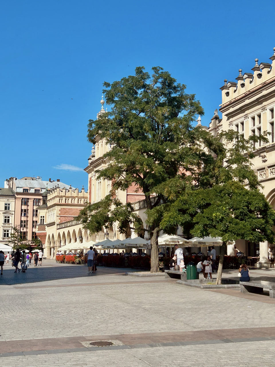 Eerste avond en dag Krakow · foto 11