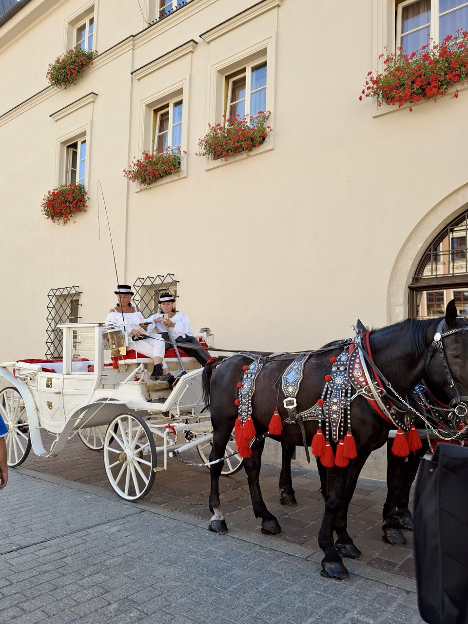 Eerste avond en dag Krakow · foto 12