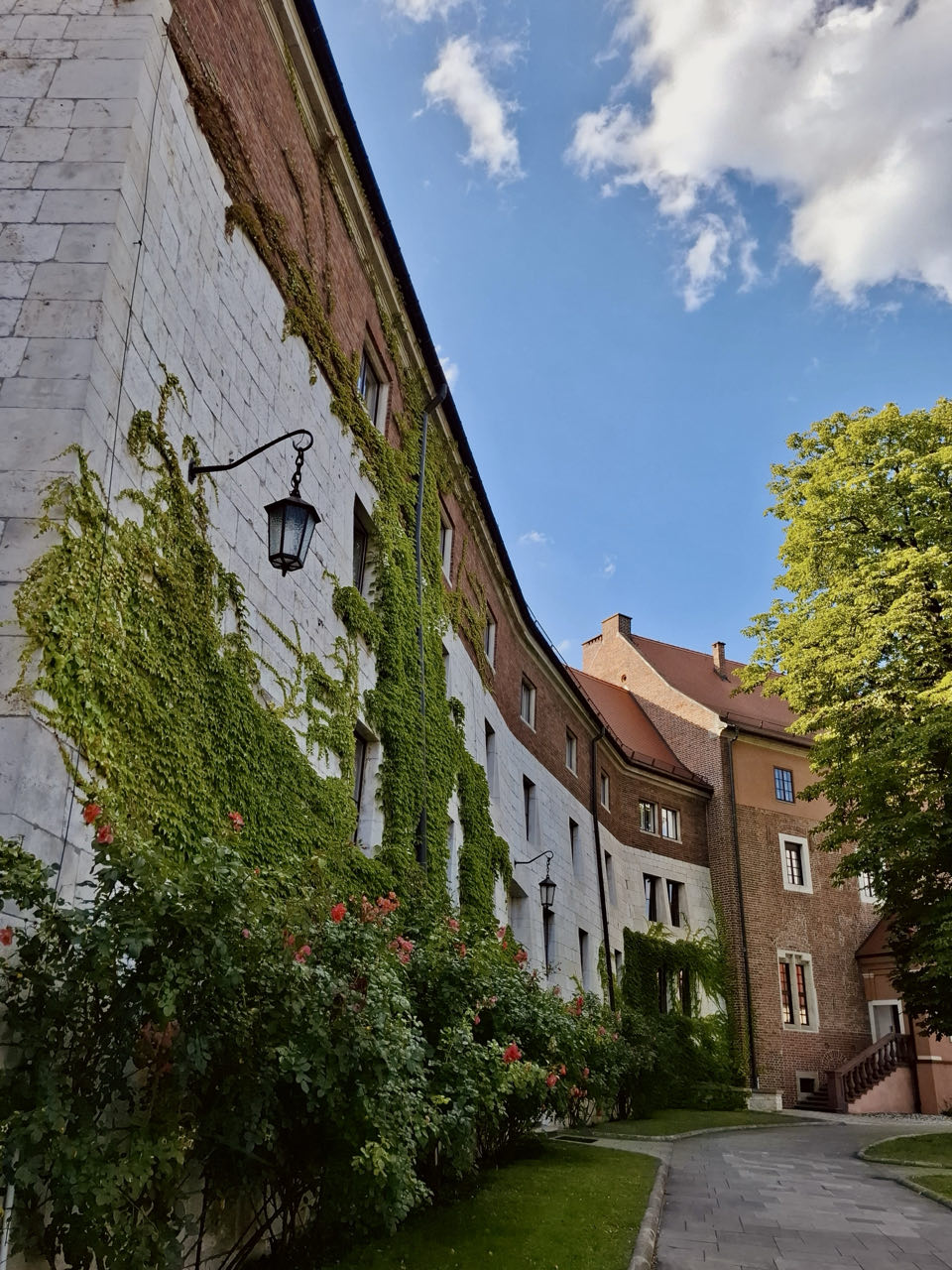 Tweede dag Krakow · foto 3