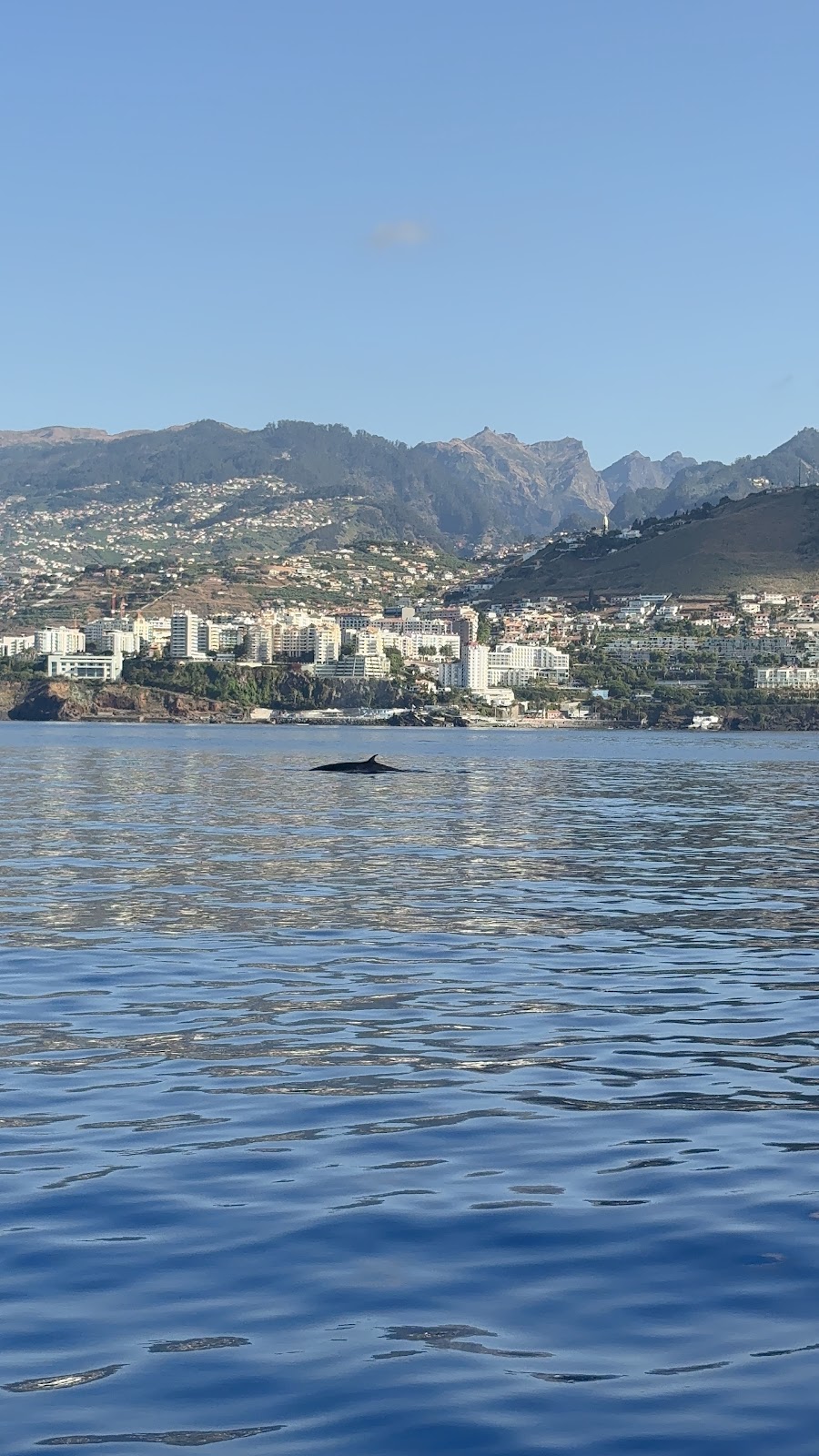 Madeira, beeld 286