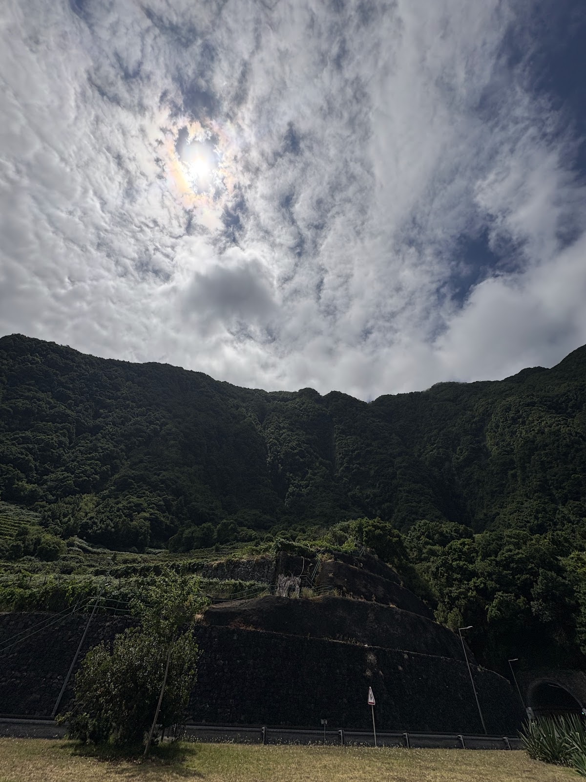 Madeira, beeld 327